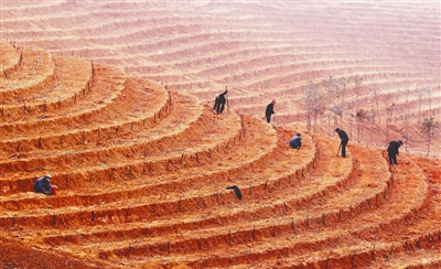 江西：荒山改造生态园