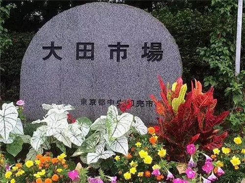 日本大田花市