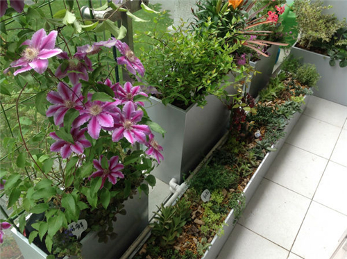 13_副本.jpg 小阳台变身精致后花园