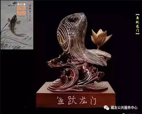鱼跃龙门 盆景奇石:奇石鉴赏