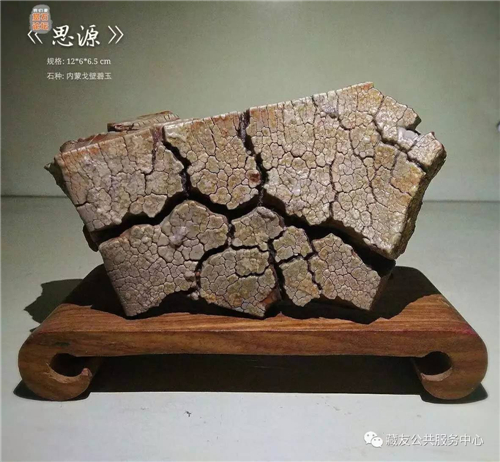 思源 盆景奇石:奇石鉴赏