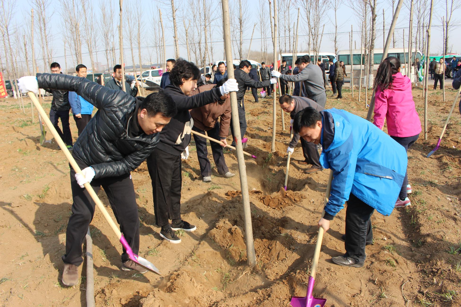 元氏县领导到河北一森园林苗木基地参加义务植树活动