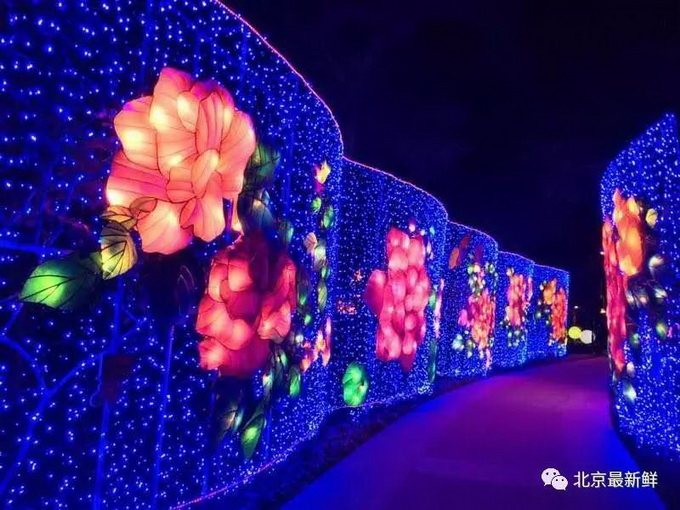 北京丰台：南宫花灯展 光影流转璀璨争辉