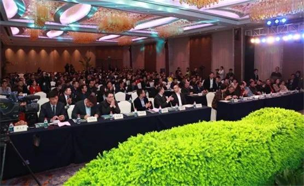 大会精彩图集