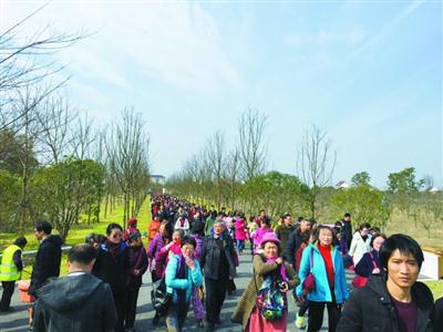 过度宣传致游客过多 “花开海上”两天就闭园