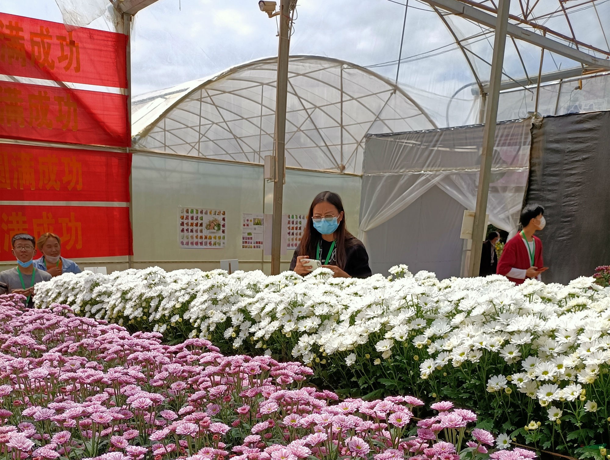 就在刚才昆明嵩明县第五届花卉博览会开幕