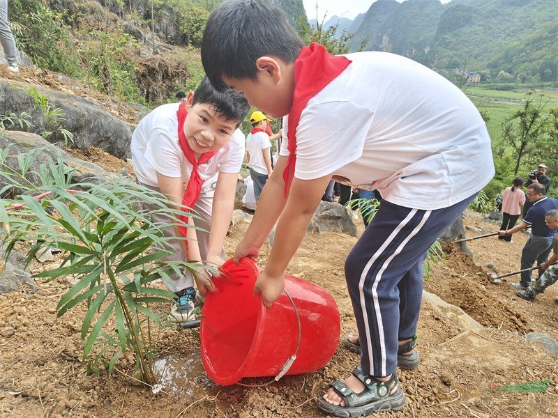 小学生在回归点种植德保苏铁.jpg