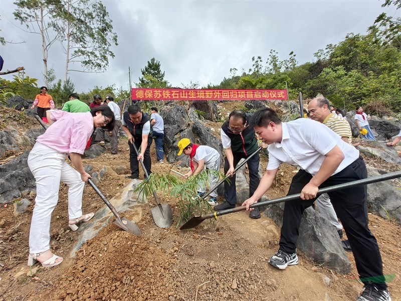 参加启动仪式的嘉宾在回归点种植德保苏铁.jpg