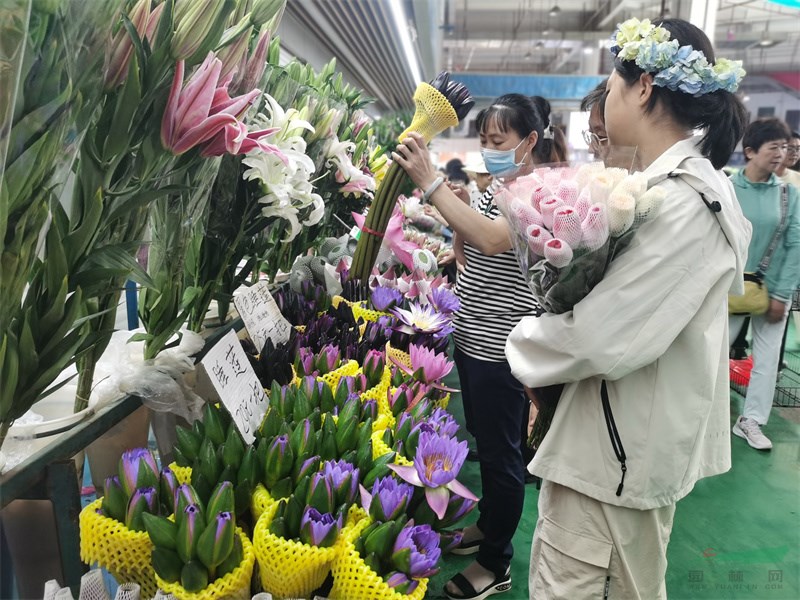 游客在花市选购睡莲切花.jpg