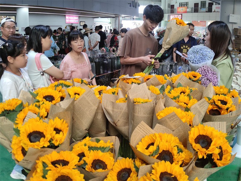 游客在花市选购向日葵切花.jpg