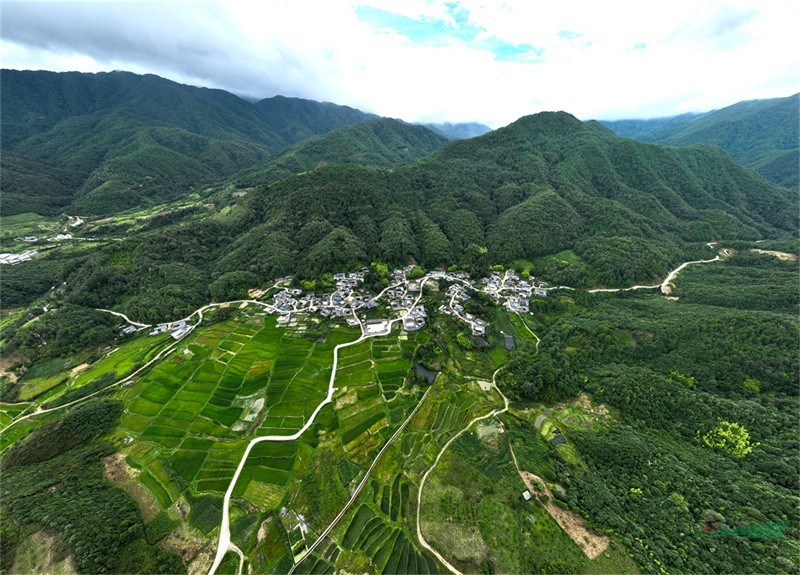 腾冲猴桥灯草坝（刘正凡供图）.jpg