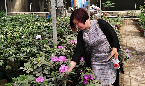 邱少美：面向北方市场是我们的优势