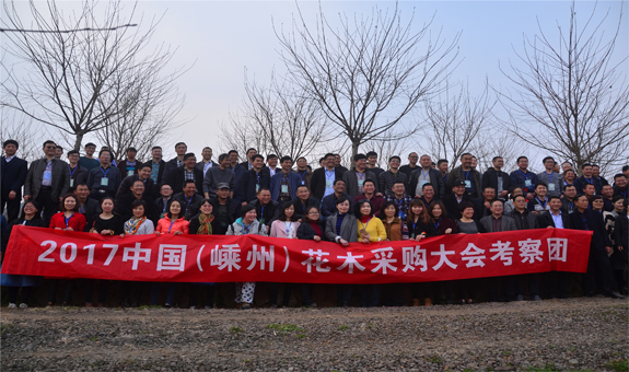 嵊州特色苗木基地，把满满五车人都看呆了
