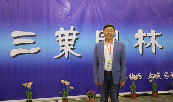 三叶园林：匠心培育乡土树种 打造最美乡旅景观