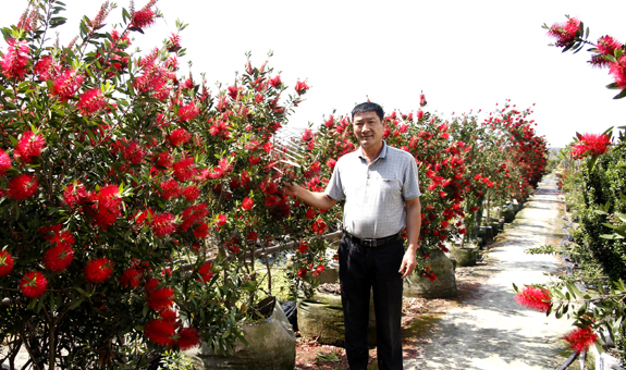 名荟苗圃俞民伟：涉足万里 只求“唯一”