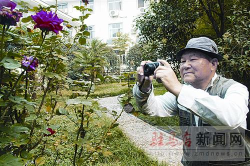 山东泊里：苗木种植成特色产业 每亩收入上万