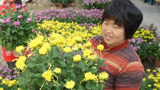 山东聊城：花卉产业助农富
