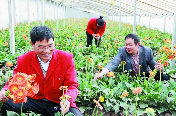 连云港浦南科技助推鲜切花销售