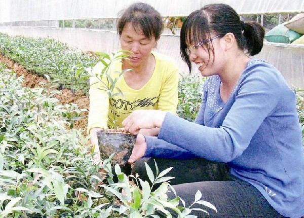 武平女大学生村官逆市种花 办报帮花农成“知识分子”