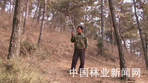 张兰军:真心照亮护林路