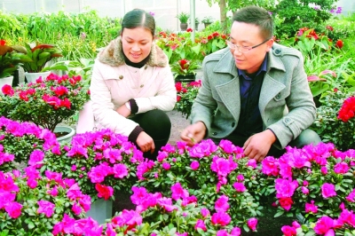 大学生村官成致富小能人