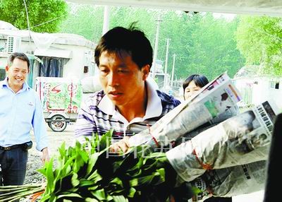 图为岗埠花卉经纪人李加祥在双店镇北沟村花卉基地采购二茬百合。