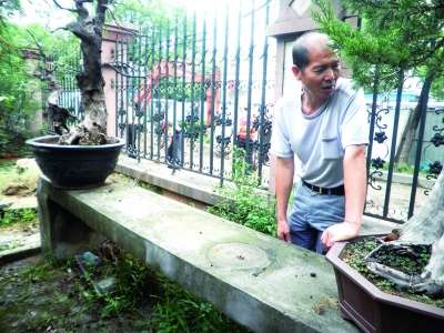 武汉：两株数万元盆景蹊跷被盗