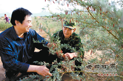两代人植树造林30年