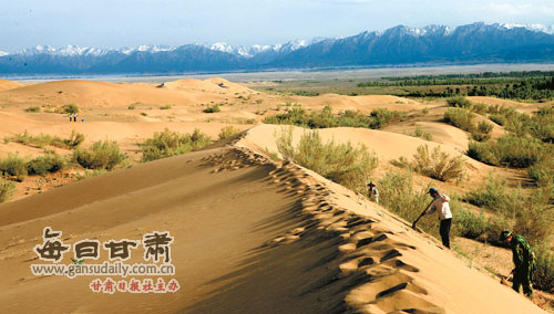 两代人植树造林30年