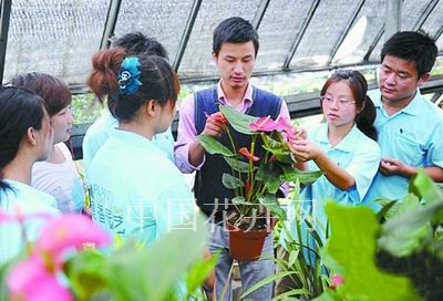 图为张春向员工传授栽培技艺。