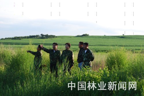 杨凤英(中)在湿地保护工作现场。