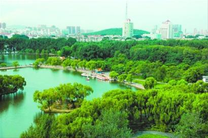 辽宁鞍山:擎起全省青山工程一面旗帜