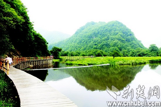 游客在湖北神农架大九湖湿地公园旅游