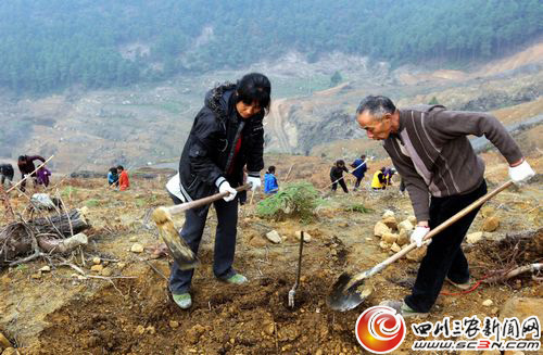 华蓥市禄市镇的村民，在月亮坡村整形后的石漠化坡地上栽植核桃树苗