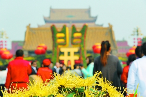 开封和菊花，相看两不厌