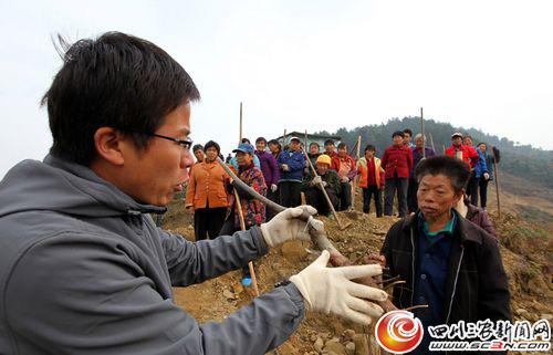 向村民现场传授核桃树苗栽植技术