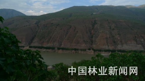 基地与对面干热河谷荒山形成鲜明对比