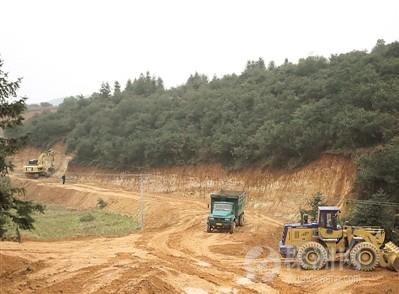 株洲一村支书亲属毁林开山采砂