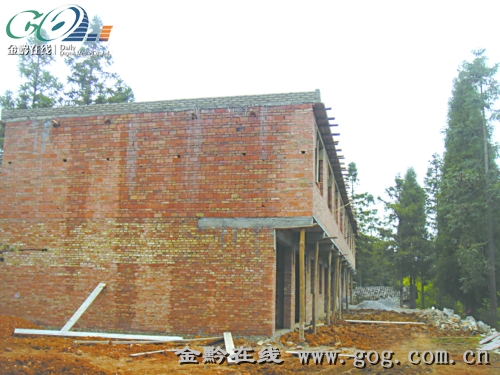 贵阳市白云区沙文镇:村委会带头毁林建房
