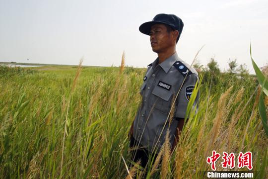 新疆艾比湖湿地国家级自然保护区鸟岛管护站站长徐伟在艾比湖内巡查