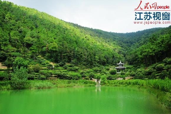通过林改苏州旺山村以集体林地发展起了生态旅游