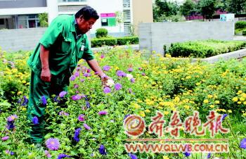 吉天祥培育的各类花草给小区带来阵阵花香