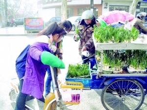 江苏：卖花大叔生活很“甜美”