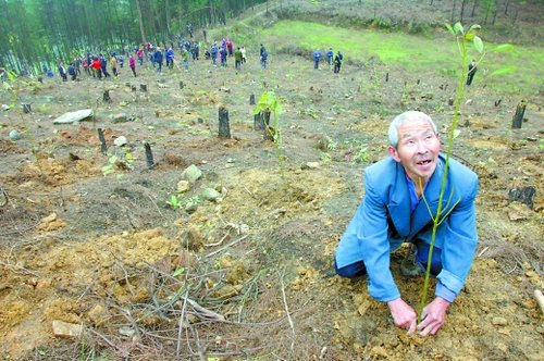 两老汉失火毁林被判种树补过 7年后成护林英雄_名人堂_中国园林网