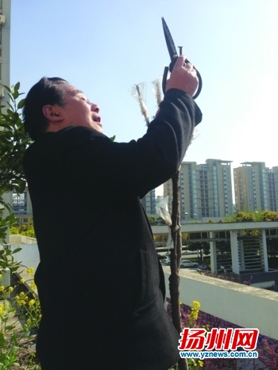 江苏:古稀老人8年造出“空中花园”种植200多平花木