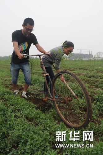 山东淄博：淄川俩大学生自谋职业建苗圃