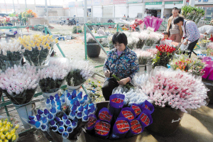 斗南花市被称为中国花卉市场的“风向标”和“晴雨表”