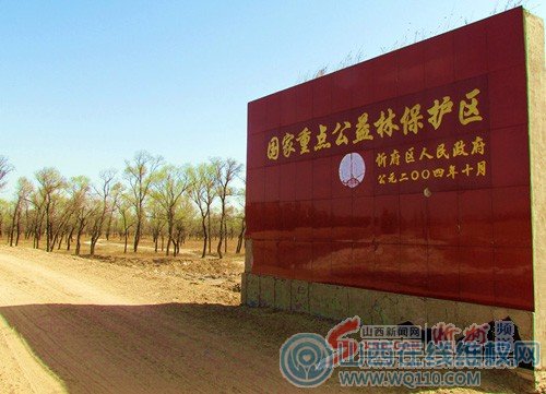陕西:忻州5千亩国家公益林被毁 市里叫停乡里不买账