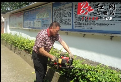 湖南湘潭：板塘社区居民长期义务修剪绿化苗木