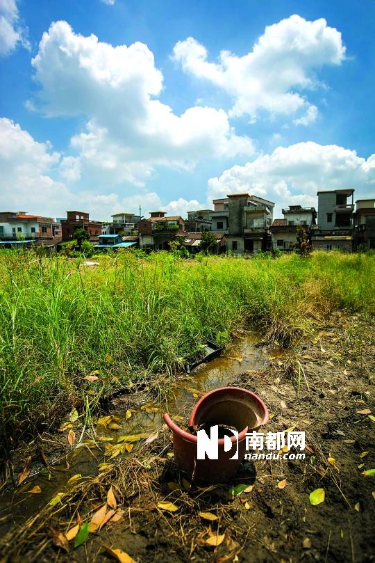 现场遗留下一个破烂的花盆